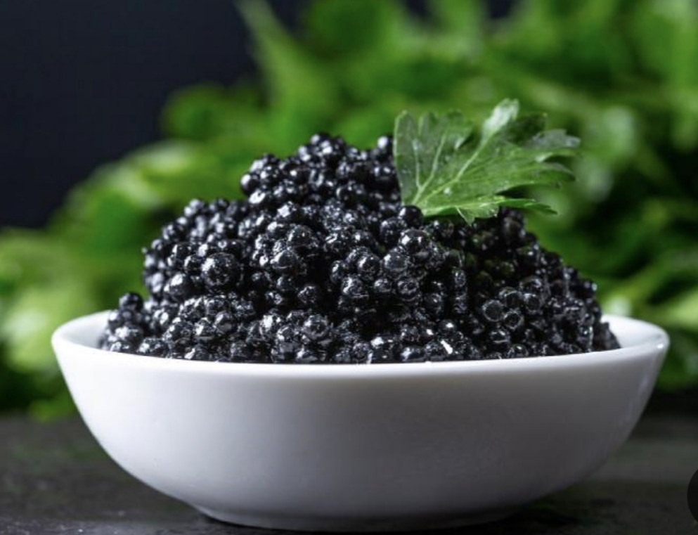 خاویار بلوگا