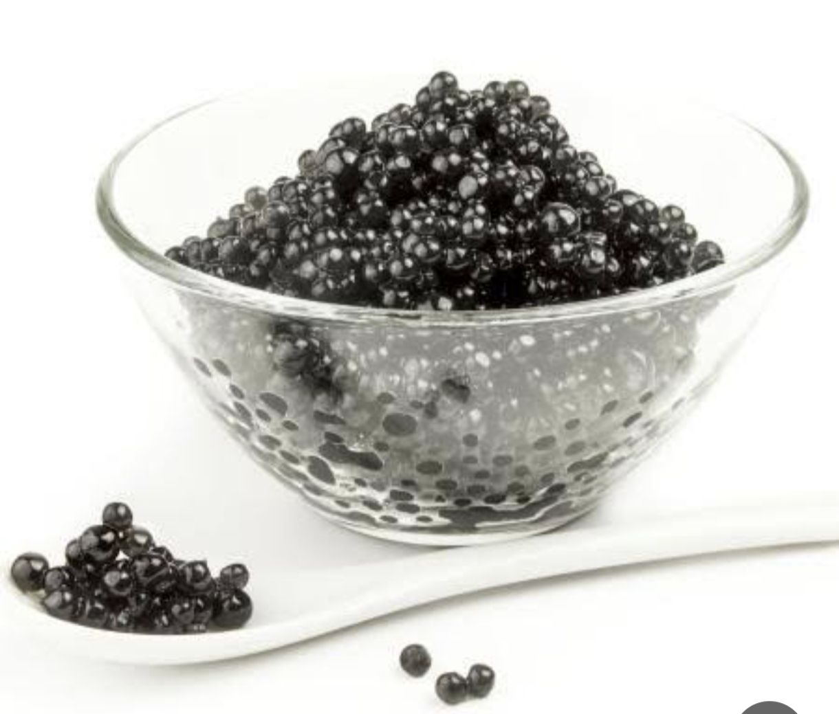 خاویار بلوگا