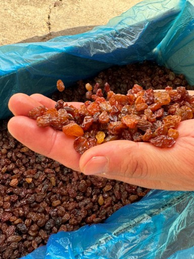 خرید امن کشمش پلویی خرمایی
