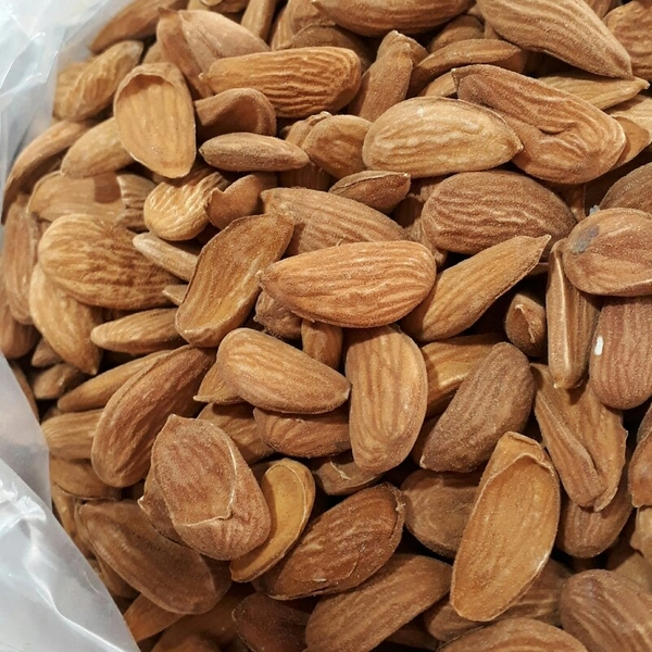 قیمت بادام مامایی + خرید و فروش عمده