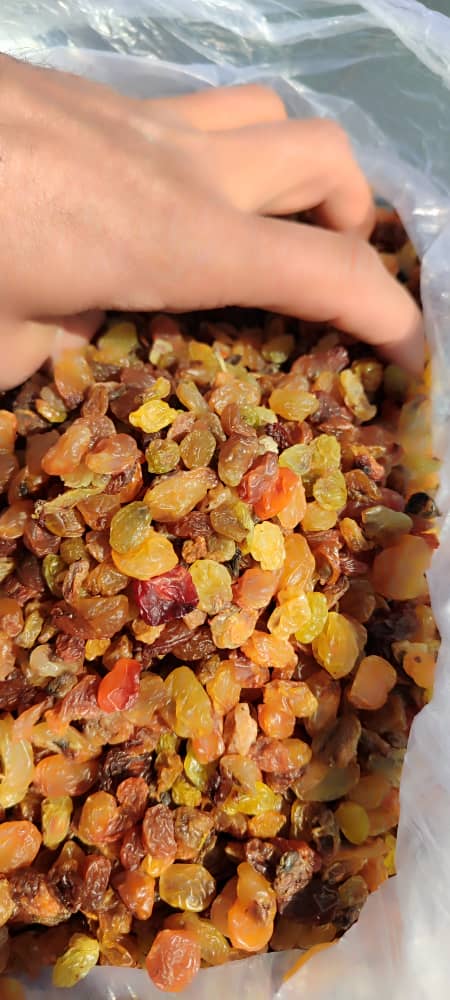 فروش کشمش قنادی