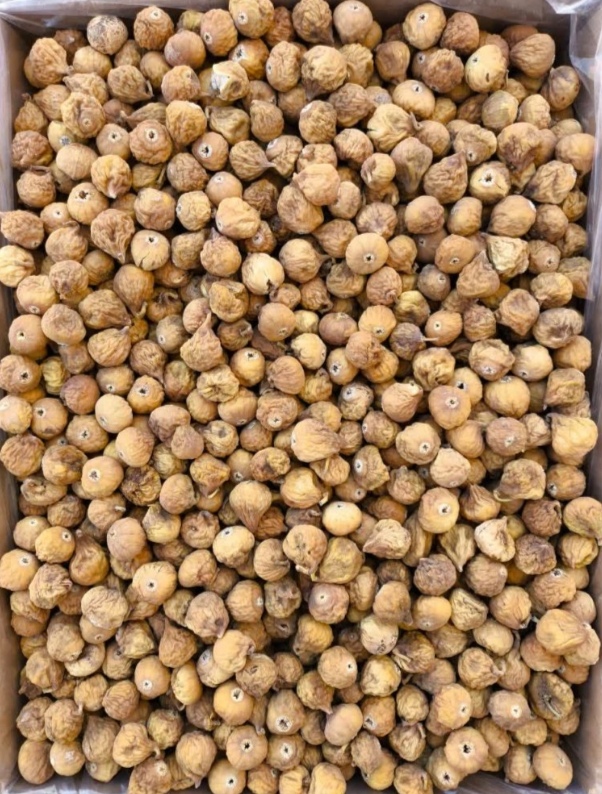 خرید عمده انجیر AA رنگ معمولی