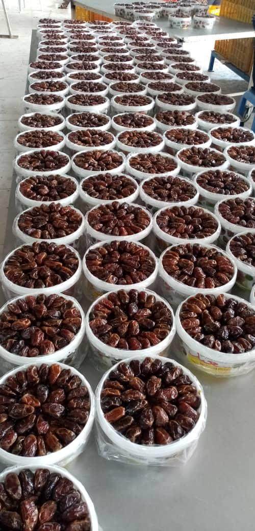 خرما کبکاب صادراتی دست چین + قیمت رقابتی