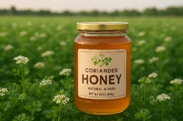 معرفی عسل گشنیز زایگر + بهترین قیمت خرید