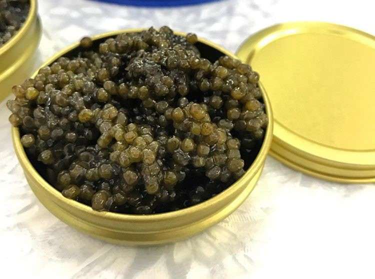 خرید و قیمت خاویار بری کلاسیک + فروش عمده