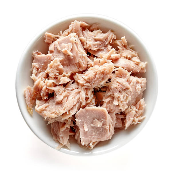 خرید عمده تن ماهی