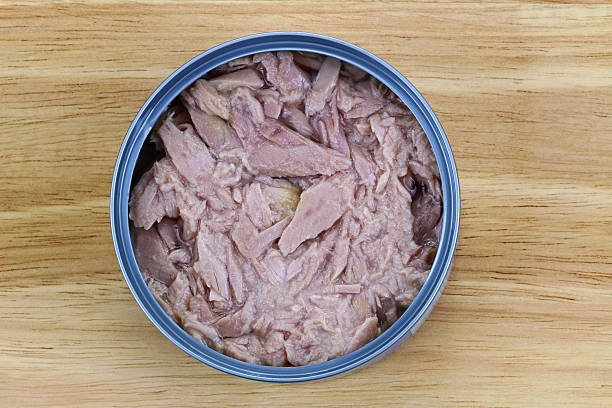 تصویر 2 از فروش عمده تن ماهی