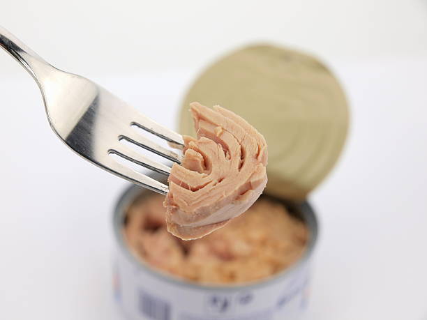 تصویر 3 از خرید به صرفه تن ماهی