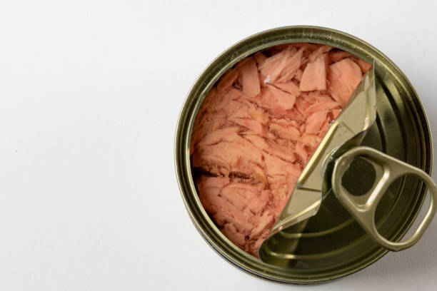 تصویر 2 از فروش تن ماهی + فروش عمده