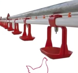 قیمت آبخوری مرغ نیپل در بازار تهران + خرید