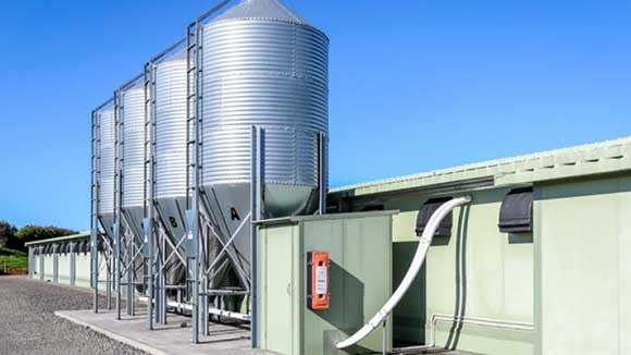 قیمت سیلو ذخیره دان مرغداری در بازار تهران