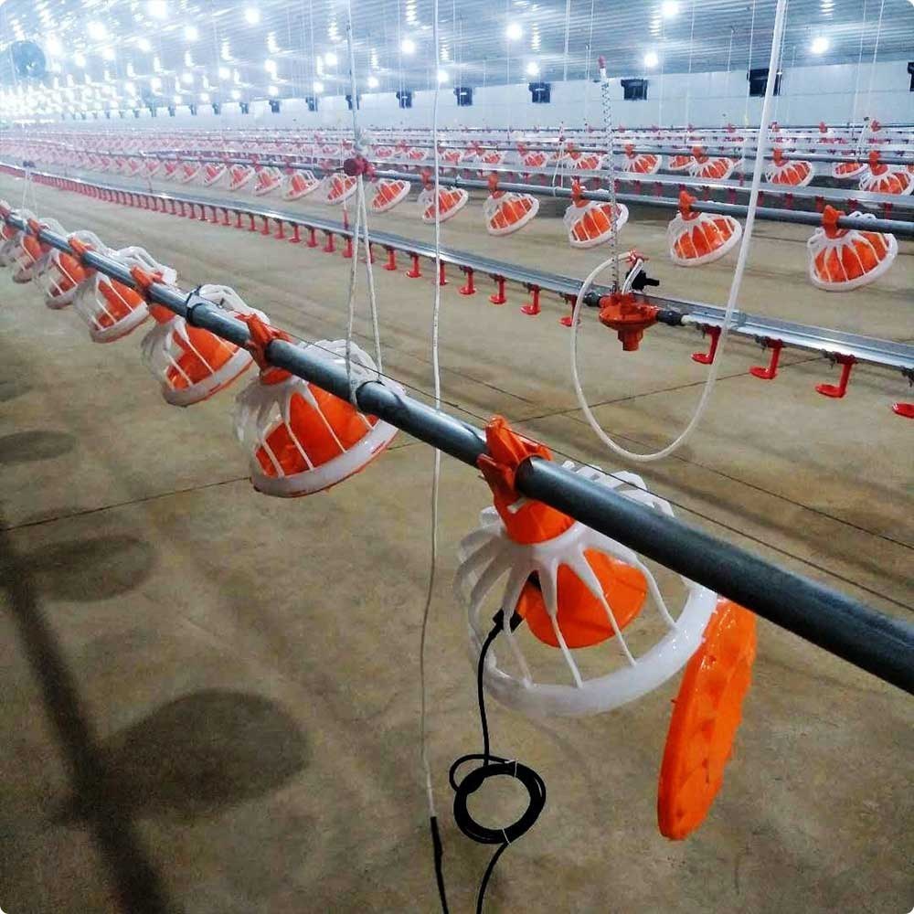 خرید و قیمت دانخوری بشقابی اتوماتیک در بازار تهران