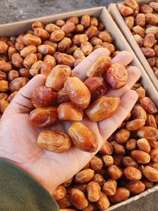 انواع خرما زاهدی استان فارس بارگیری میشه صادراتی به کشور ارمنستان