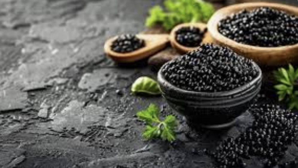 خاویار بلوگا