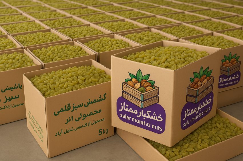 خرید تضمینی کشمش سبز قلمی