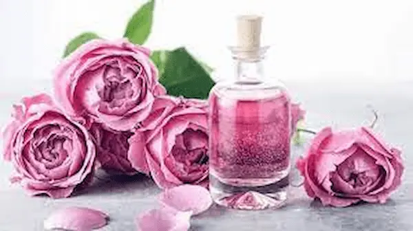 گل محمدی ممتاز کرمان