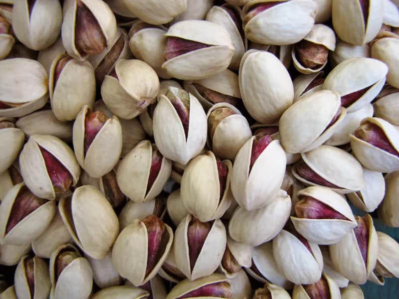 فروش پسته ارگانیک خنجری + قیمت خرید به صرفه
