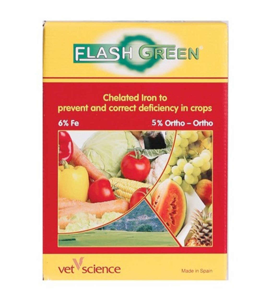 کوداھن فلش گرین اسپانیا با فروش ویژہ