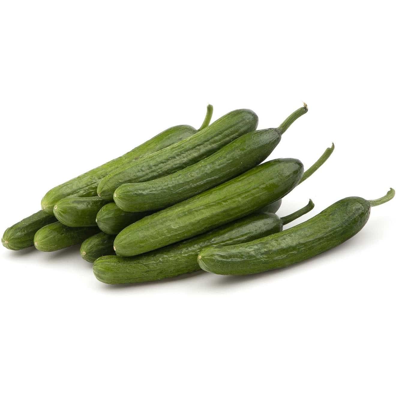 خرید جدیدترین انواع خیار درختی محلی