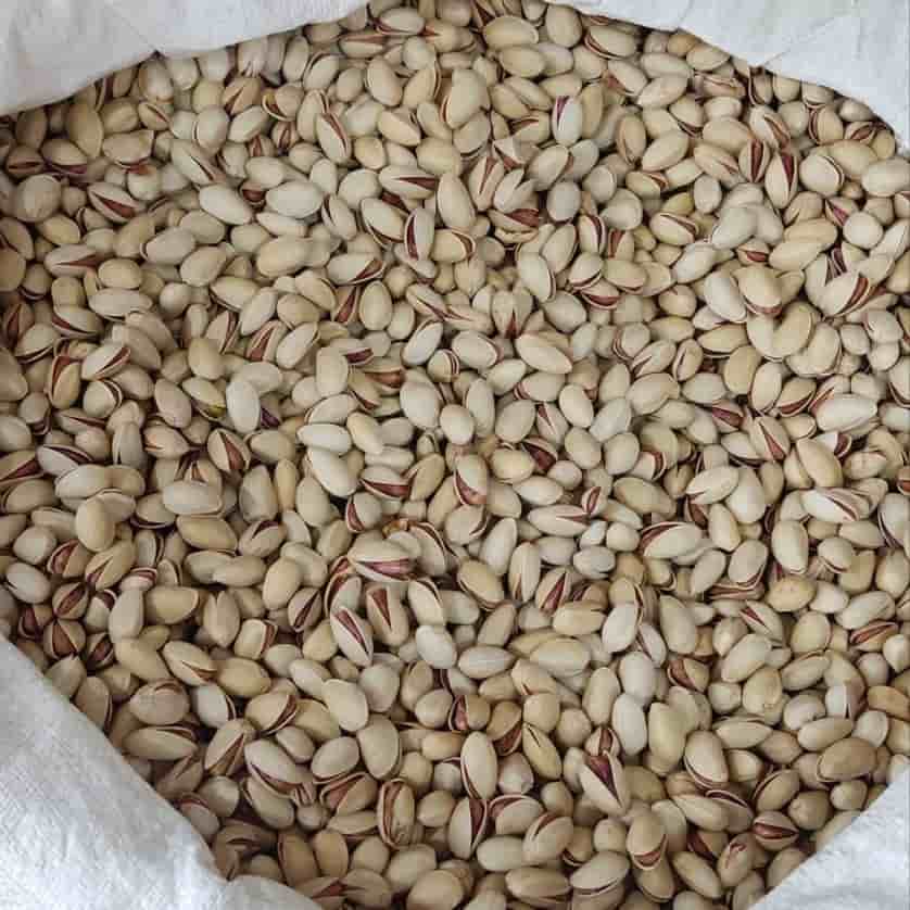 فروش پسته کله قوچی امروز + قیمت خرید به صرفه
