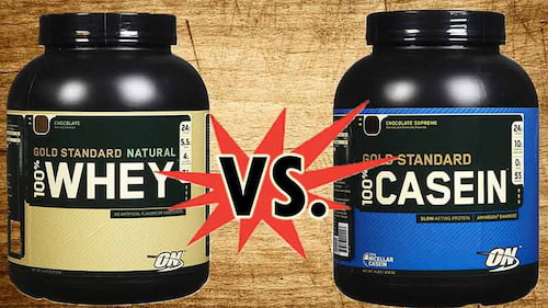 پروتئین وی صادراتی + عرضه عمده