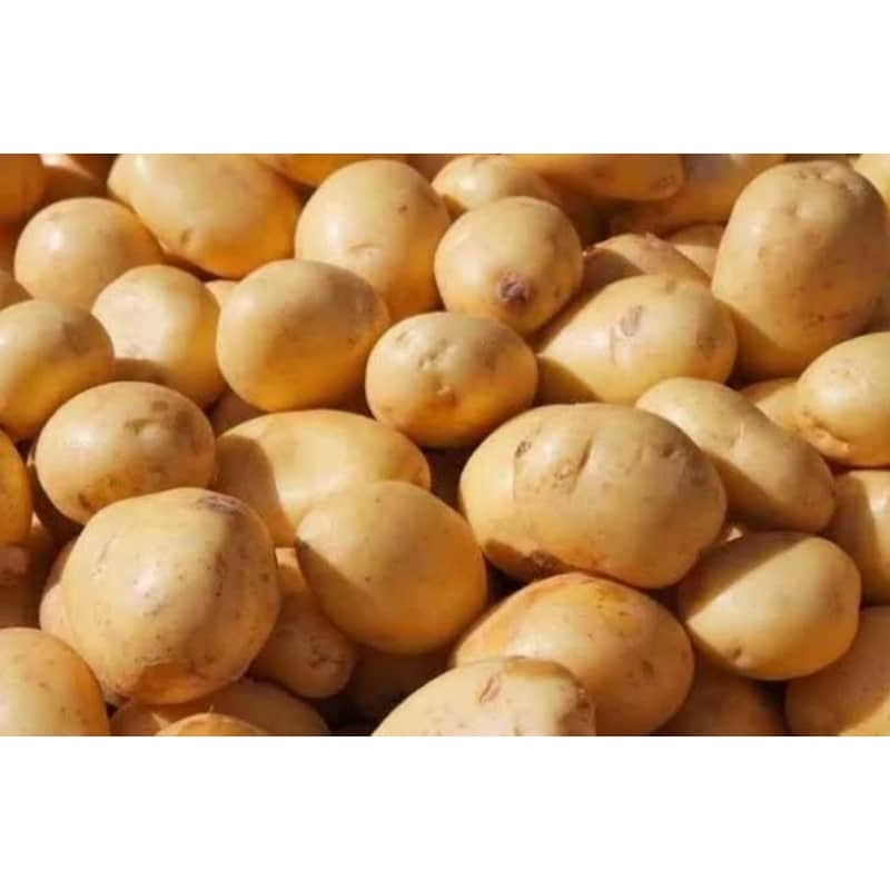 خرید و قیمت سیب زمینی شیرازی + فروش عمده