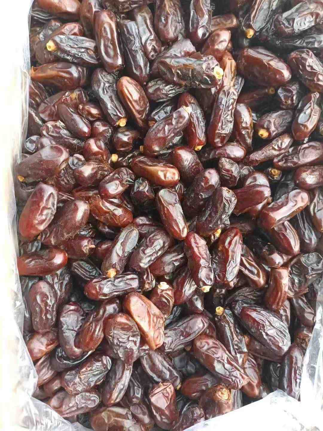 قیمت‌ خرید خرما ربی‌ روغن‌ زده لوکس + فروش عمده