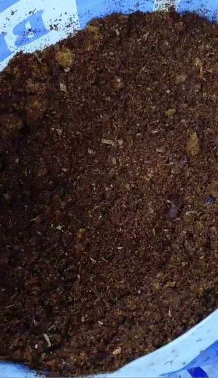 فروش عمده بستر کشت بلوبری + کیسه کشت اماده