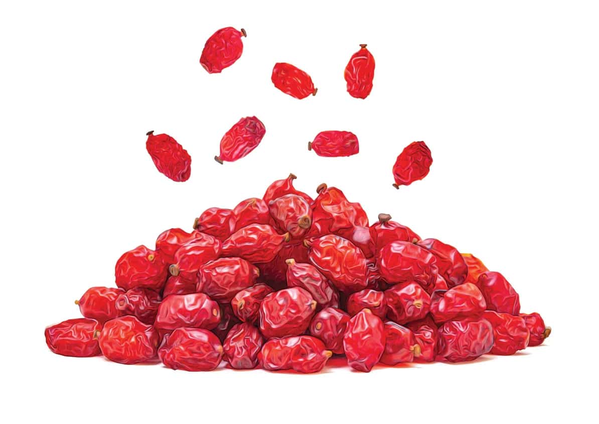 خرید و قیمت زرشک قرمز پلویی + فروش عمده
