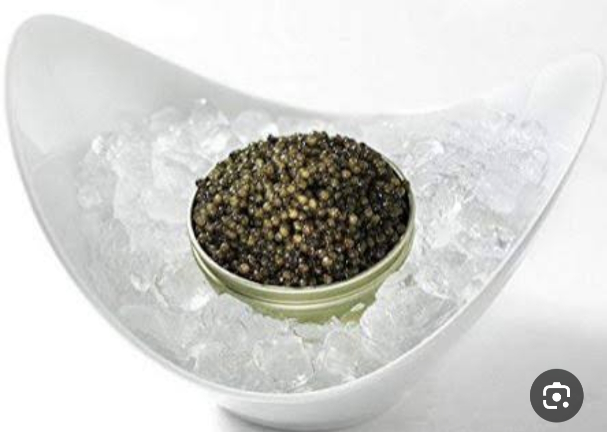 خاویار بلوگا