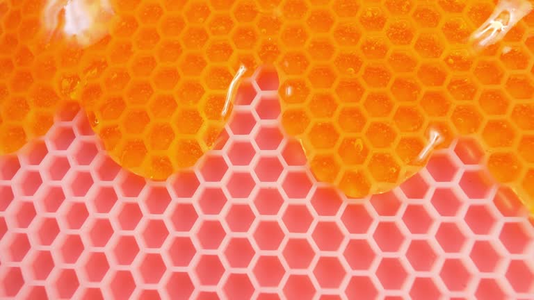 تصویر 5 از قیمت خرید ورق شمع موم عسل رنگی عمده به صرفه و ارزان