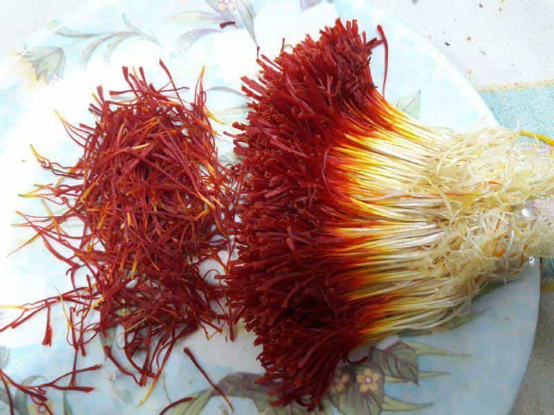 قیمت خرید زعفران دختر پیچ قائنات قائنات عمده به صرفه و ارزان