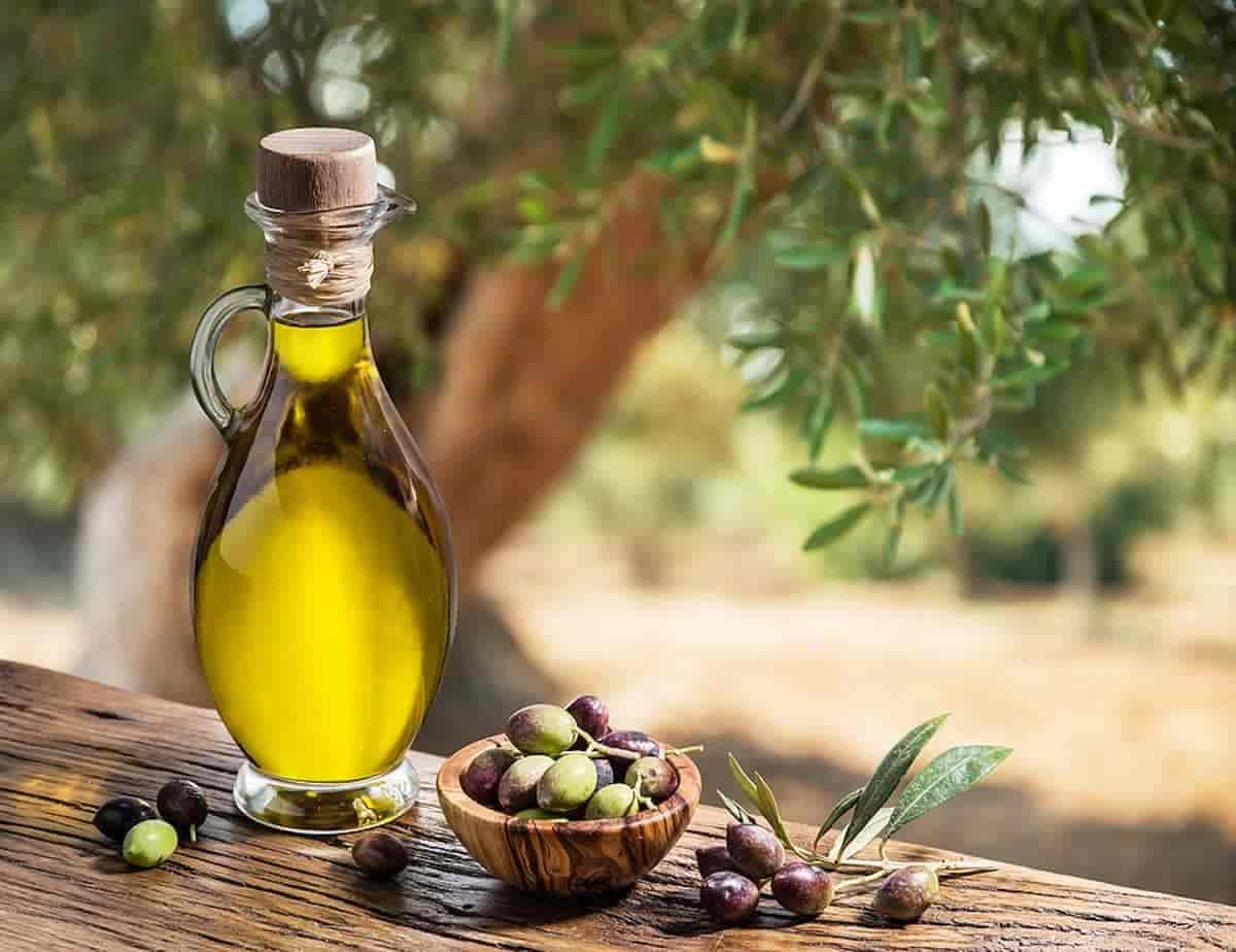 قیمت خرید روغن زیتون طبیعی با فروش عمده