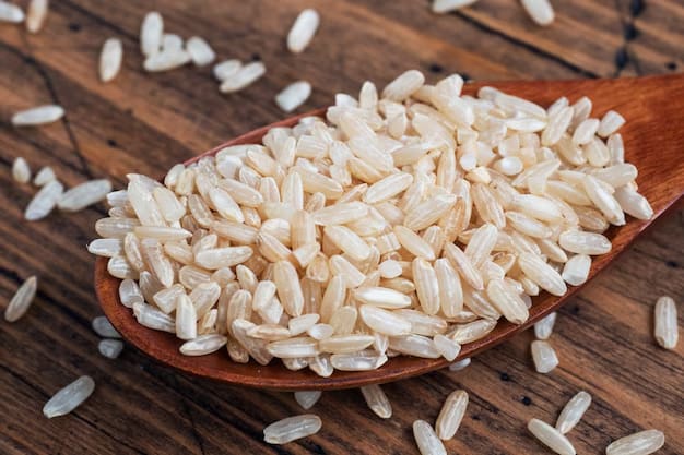 فروش برنج هاشمی ایرانی + قیمت خرید به صرفه