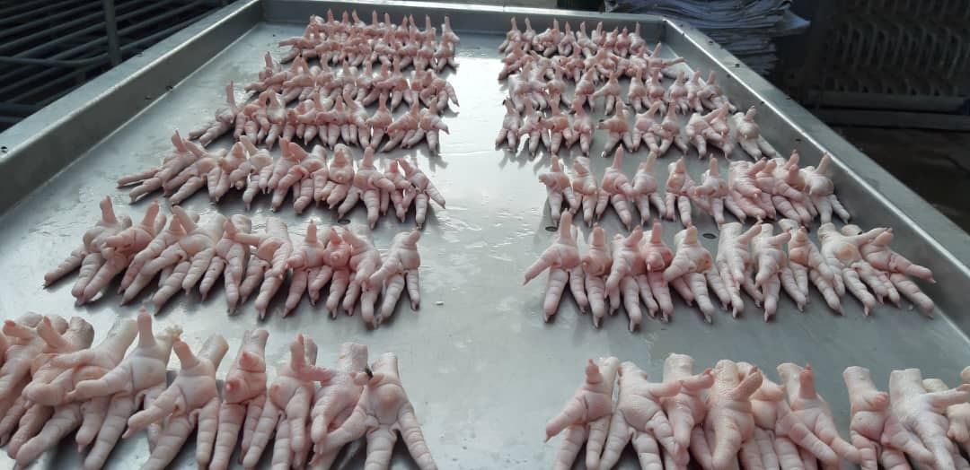 قیمت پای مرغ با کیفیت