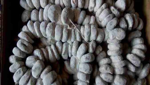 تصویر 4 از معرفی انجیر آردی سکه ای + بهترین قیمت خرید