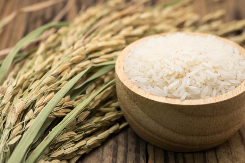 راهنما ی خرید برنج هاشمی + قیمت عالی