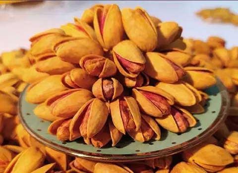 قیمت خرید پسته احمد اقای زعفرانی عمده به صرفه و ارزان