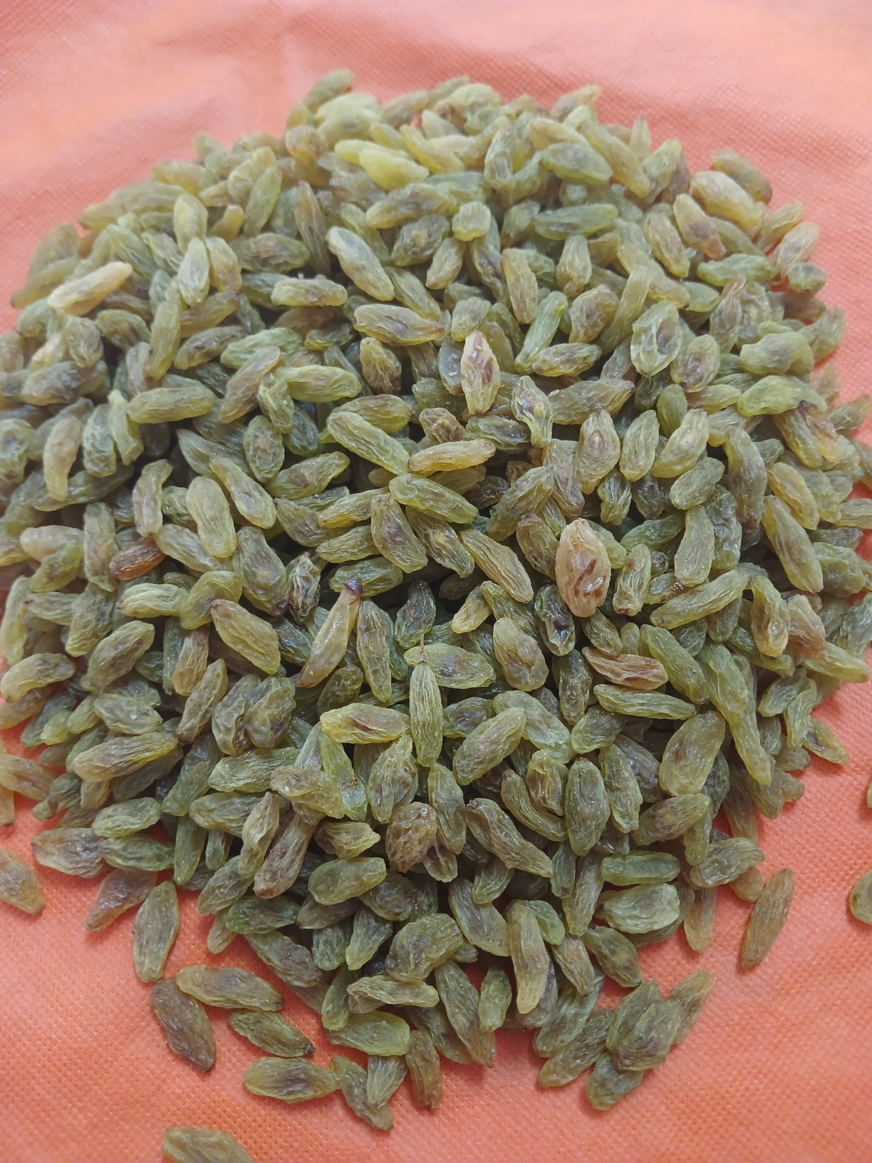 عرضه مستقیم کشمش سبز قلمی