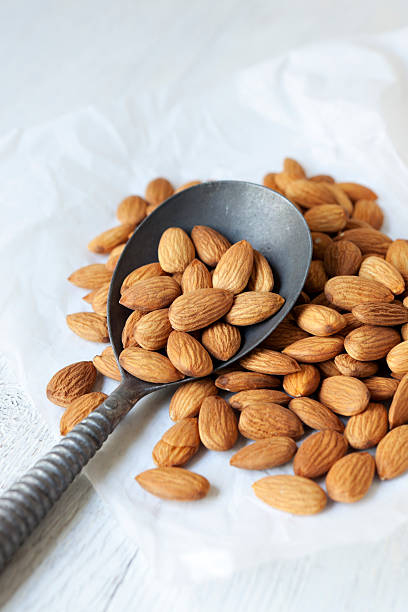 فروش مغز بادام درختی + قیمت خرید به صرفه