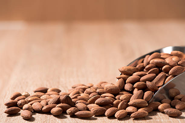 قیمت خرید مغز بادام درختی عمده به صرفه و ارزان