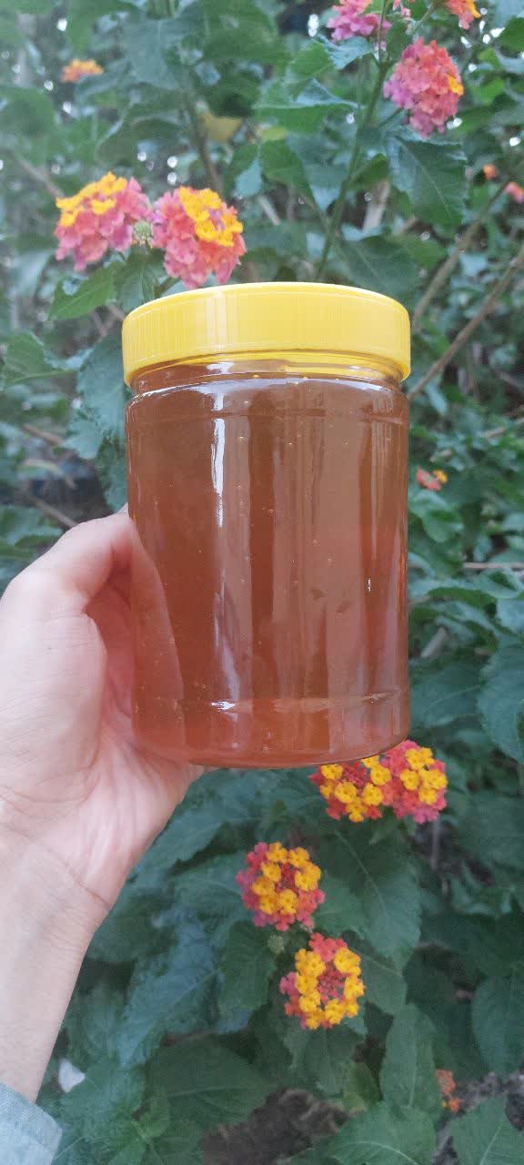 تصویر 4 از عسل موم دار + خرید