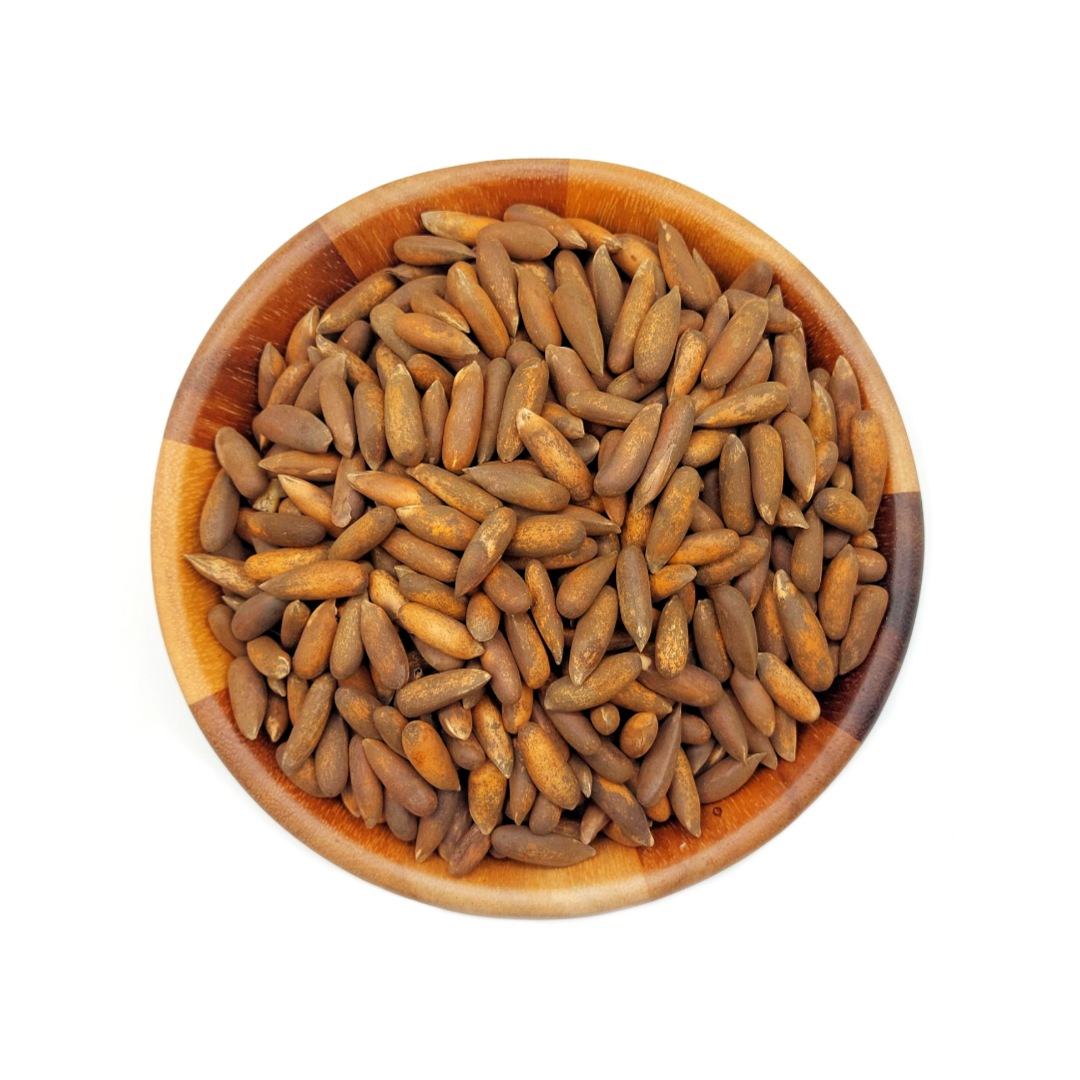 خرید عمده تخمه چلغوز + قیمت رقابتی