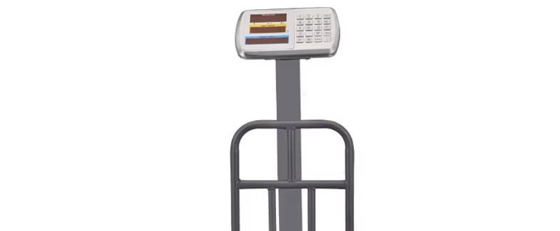 خرید و قیمت باسکول ورزشی + فروش صادراتی