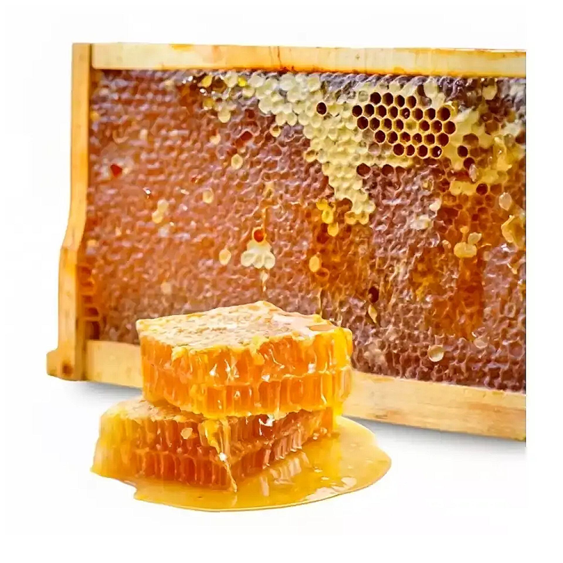 قیمت عسل با موم ارگانیک + خرید شگفت انگیز