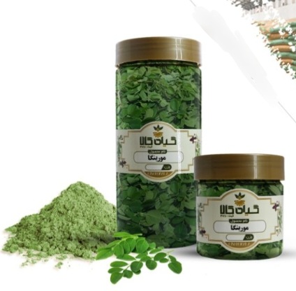 گیاه مورینگا خشک یا پودری بسته بندی فروش صادراتی