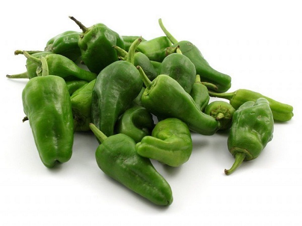 خرید و قیمت فلفل سبز + فروش عمده