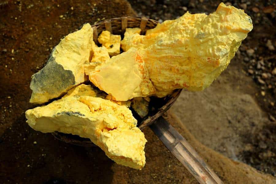 قیمت روز گوگرد هندی