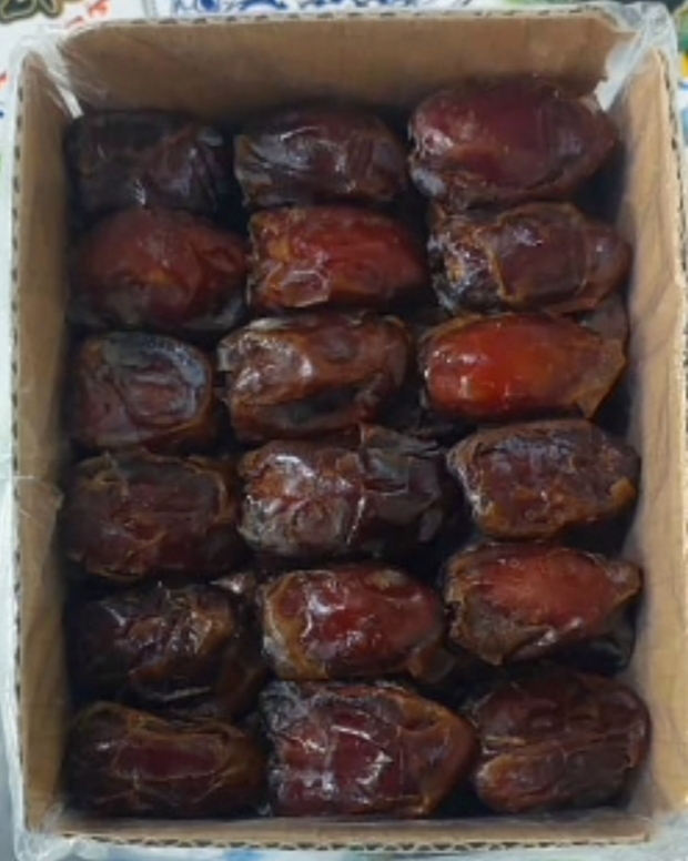 خرما کبکاب دانه درشت فروش عمده کارتن ۱ کیلویی خرید تضمینی