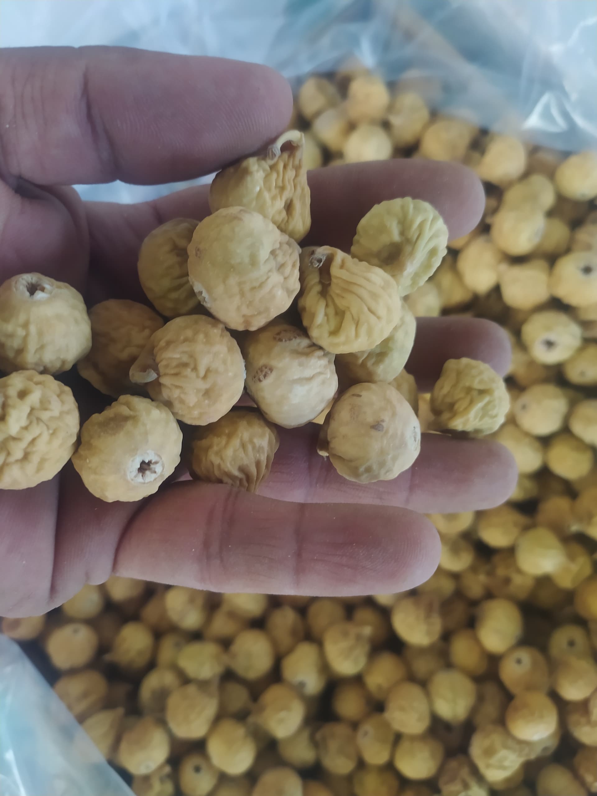فروش ویژه انجیر سوپر ریز (A) با بسته بندی اختصاصی به سلیقه مشتری